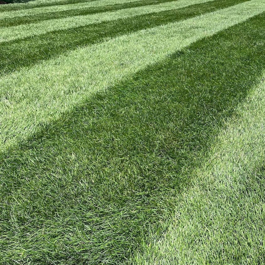 Emerald 10-0-20 Lawn Fertilizer