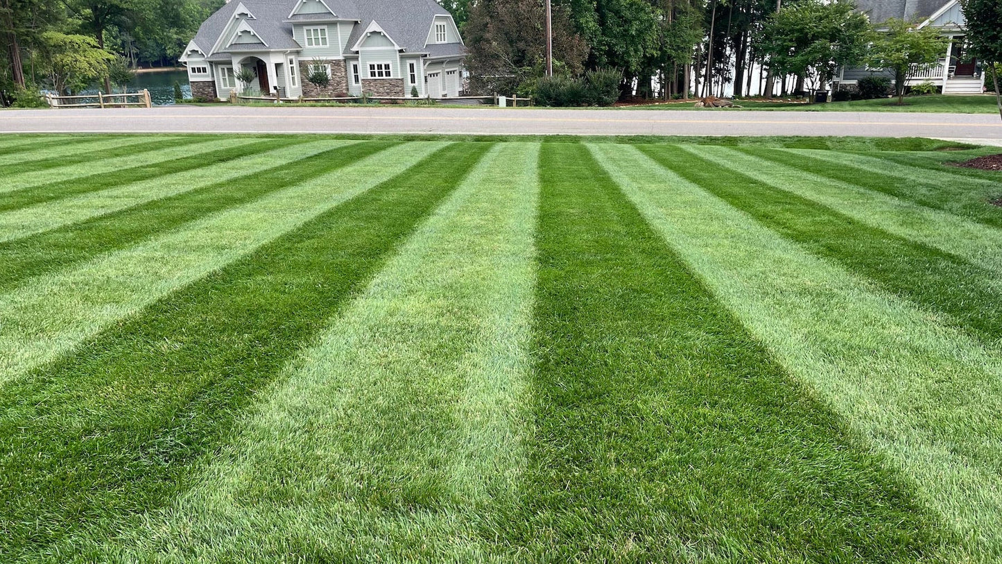Crown Jewel Elite Tall Fescue Grass Seed - 50 lbs.