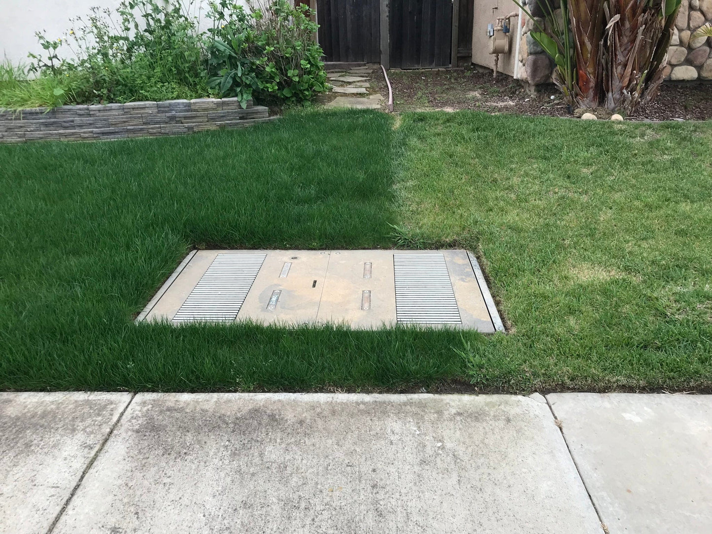 LESCO Estate Eagle Plus Grass Seed