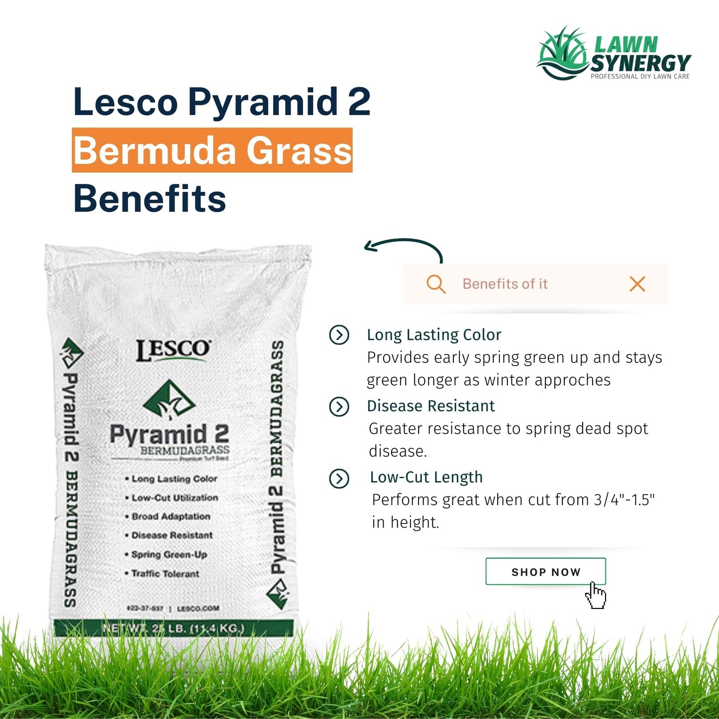 LESCO Pyramid 2 Bermuda Grass Seed (Coated) 25 lb.