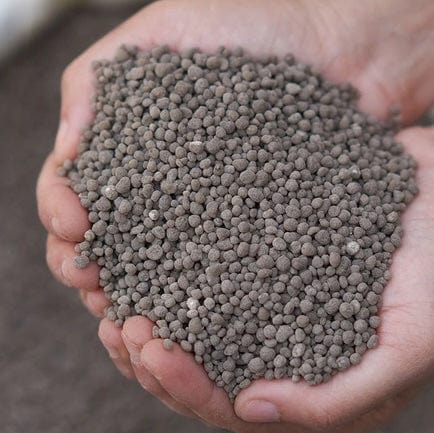 BioBoost 5-3-0 Organics Lawn Fertilizer with 2% Iron