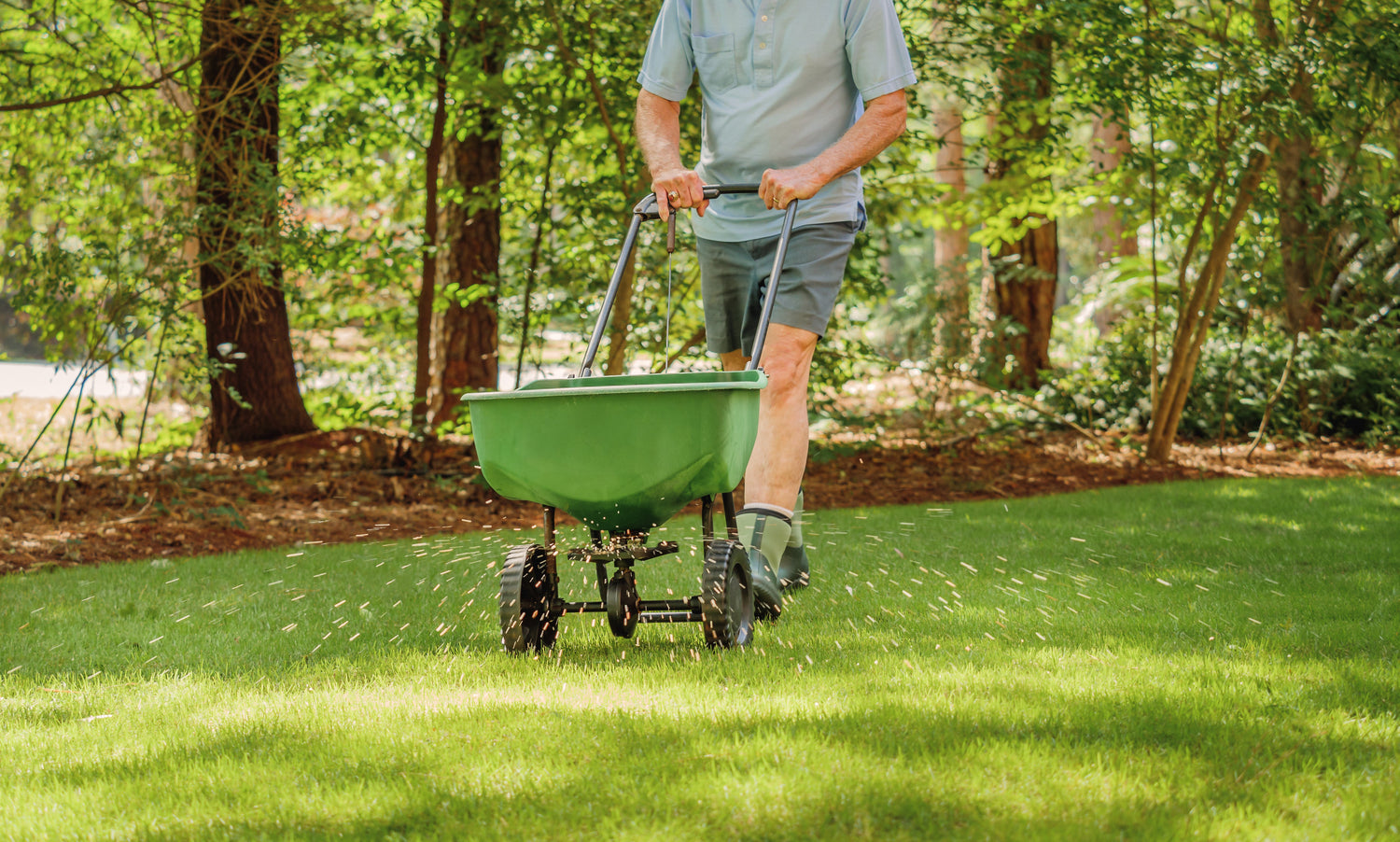 Fertilizers